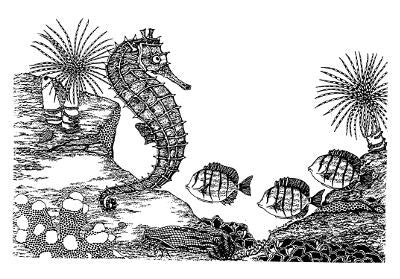 Hawaiian Seahorse T-Shirt